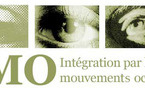 Formation Integration Mouvements Oculaires Paris Niveau 2. Danie BEAULIEU. Superviseurs Laurent GROSS, Sylvie BELLAUD