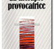 Thérapie Brève: La thérapie provocatrice. FARRELLY F., BRANDSMA J.