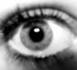 https://www.hypnose-ericksonienne-paris.fr/Qu-est-ce-qu-un-Traitement-par-les-Mouvements-Oculaires-EMDR-IMO-en-Therapies-Breves_a27.html